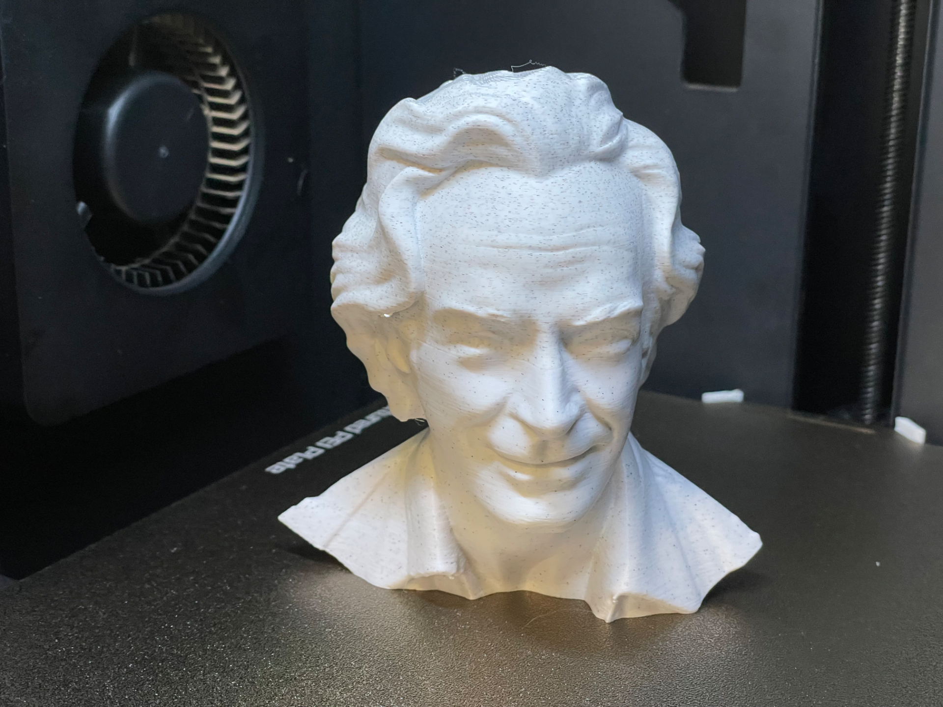 Bust of Richard Feynman
