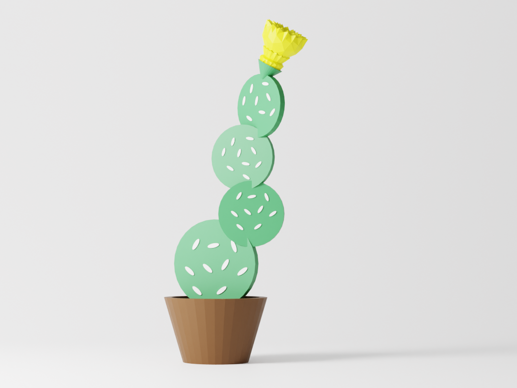 Low Poly Cactus Color 4