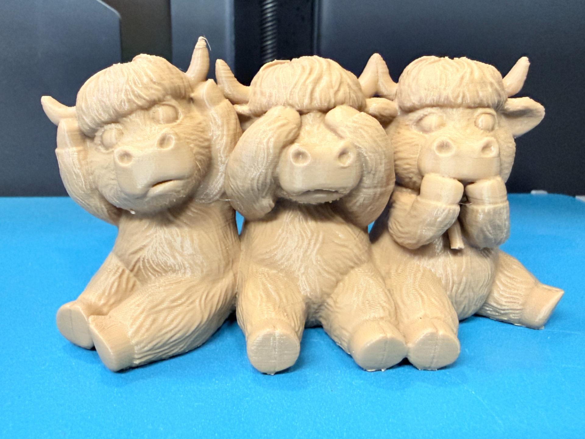 See Hear Speak No Evil Highland Cows