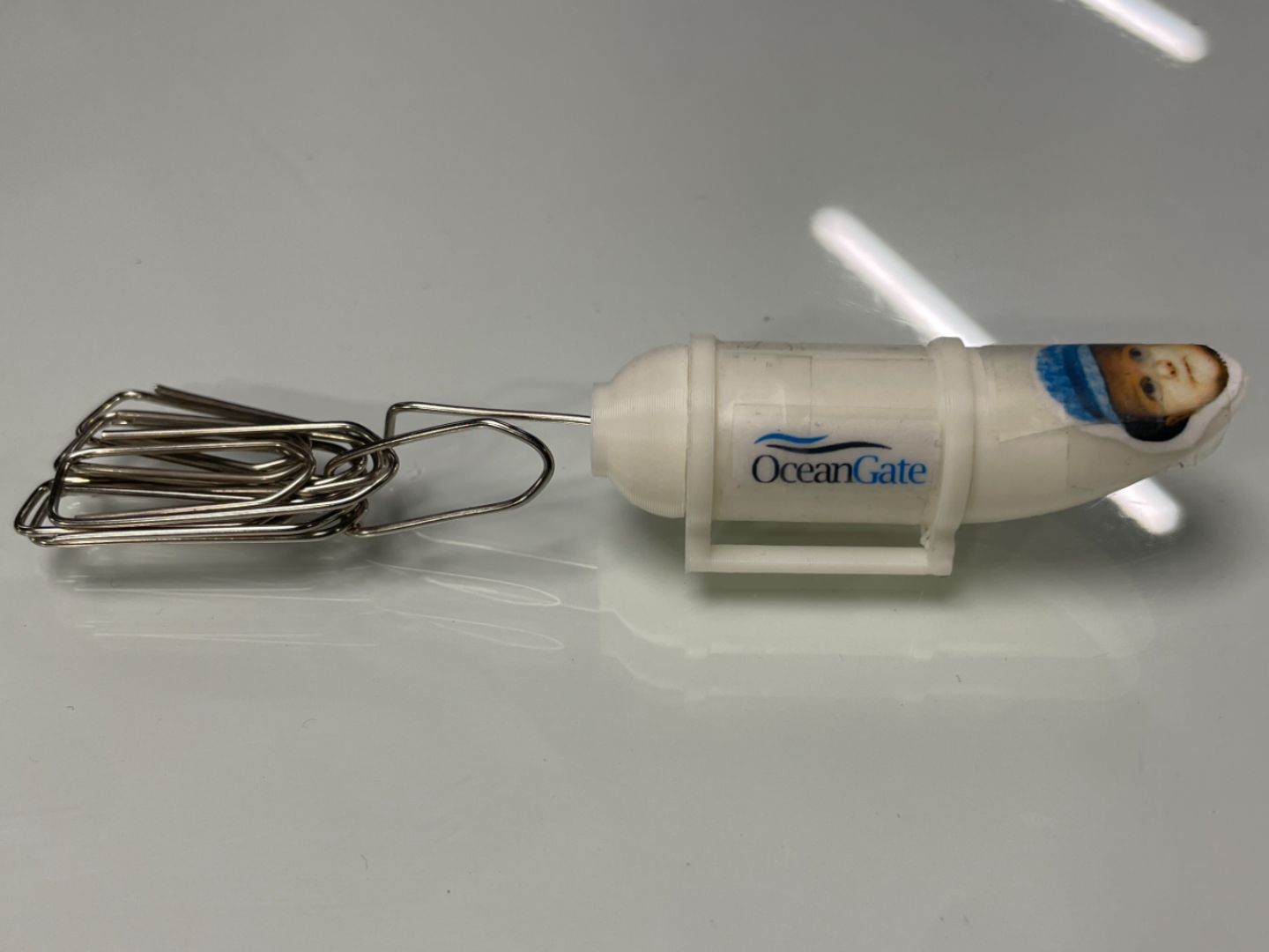 Ocean Gate (Cartesian Diver)