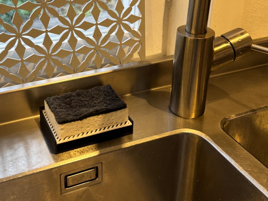 Sponge Dish