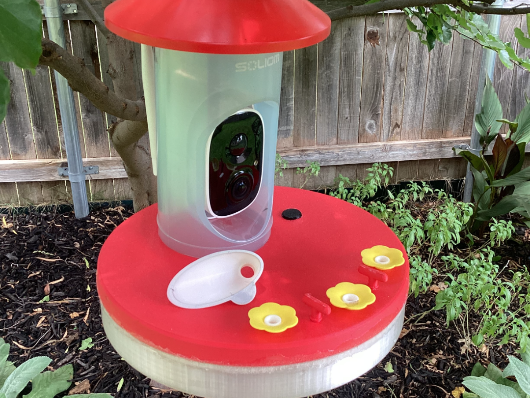 Hummingbird Camera Feeder