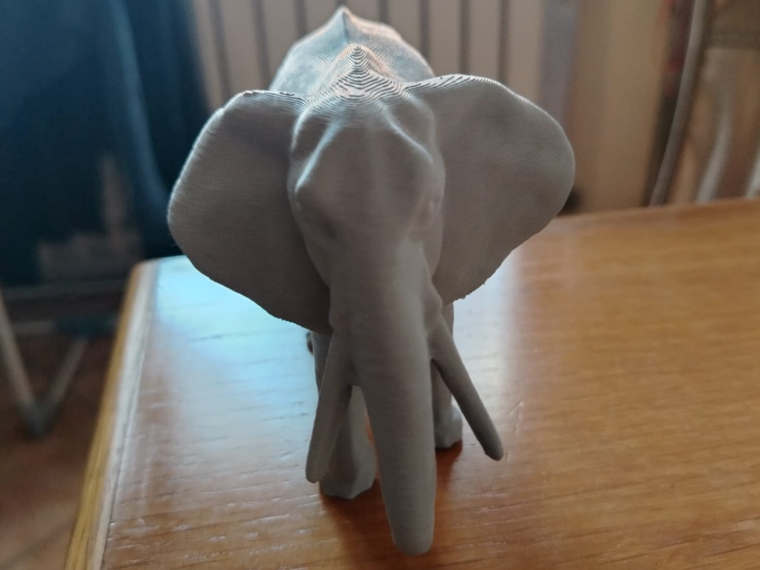 Elefante