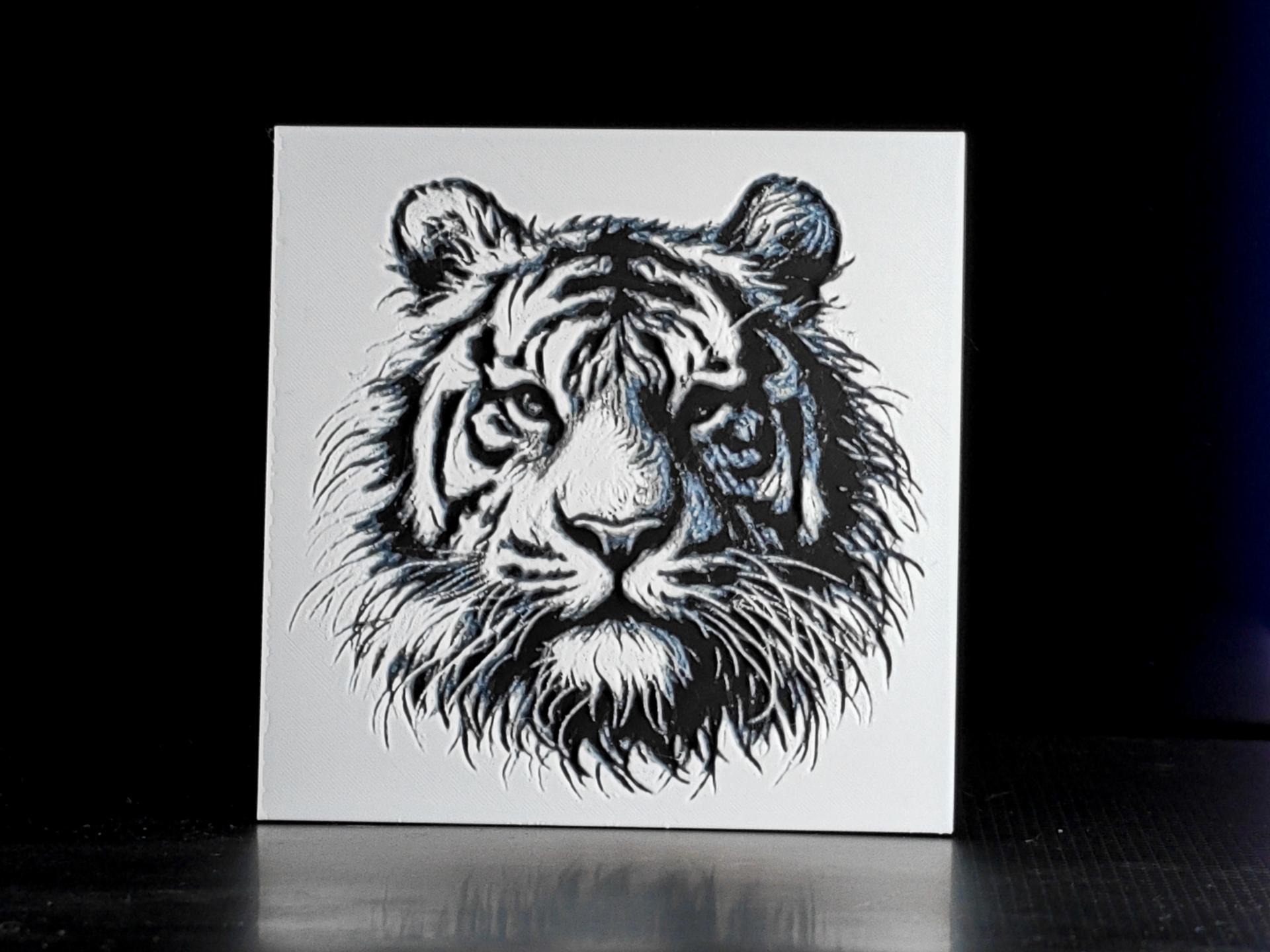 Tiger Head Hueforge