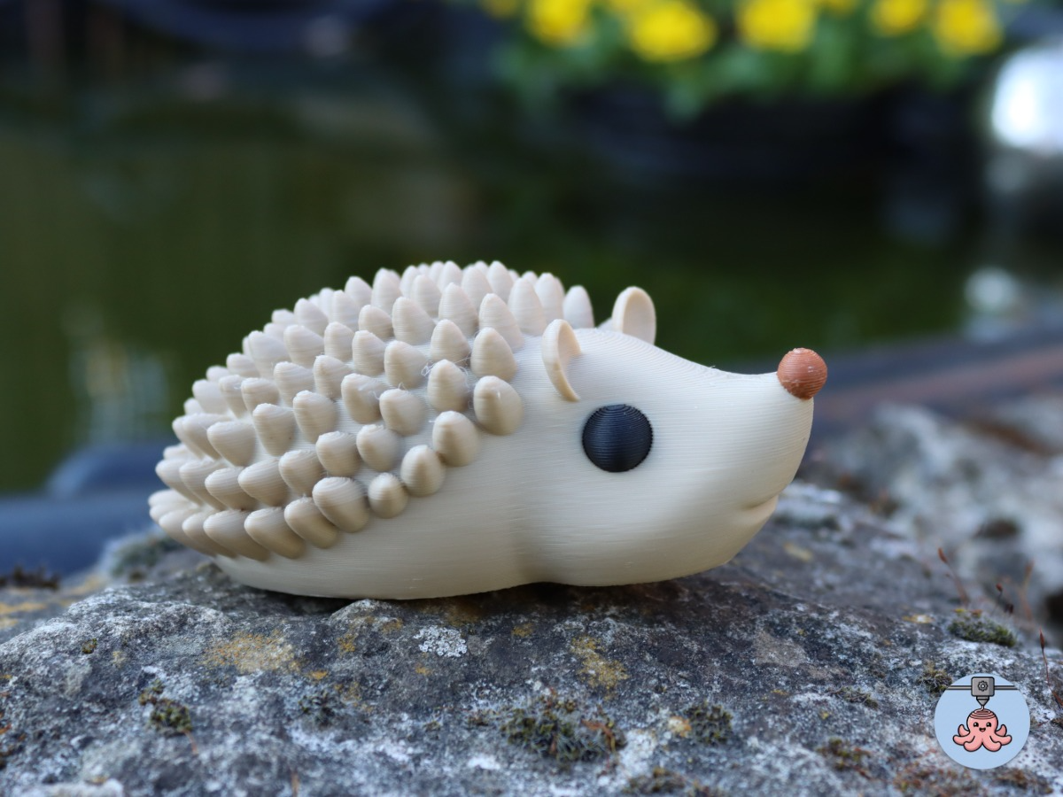 Cute hedgehog