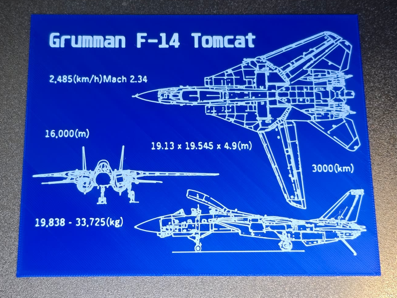F-14 Tomcat