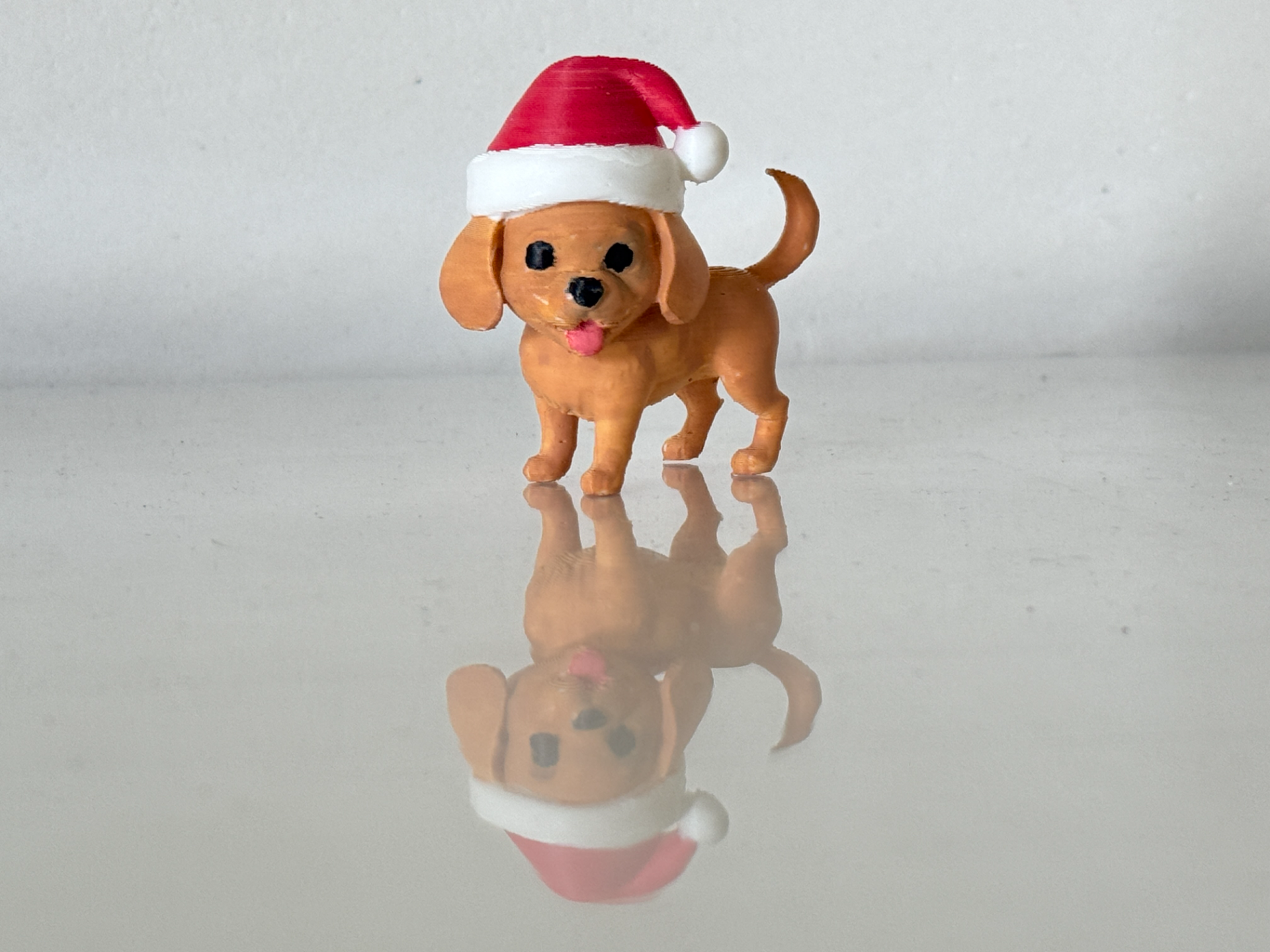 Cavalier King Charles