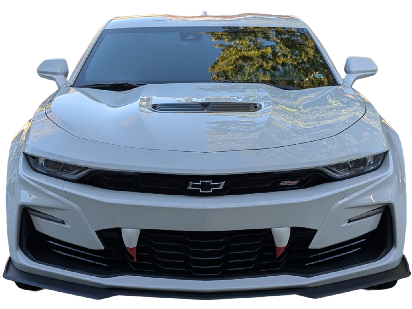 Fangs for 2019+ Gen6 Chevy Camaro SS