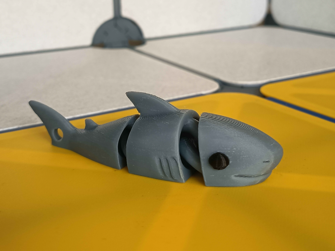 Flexi shark