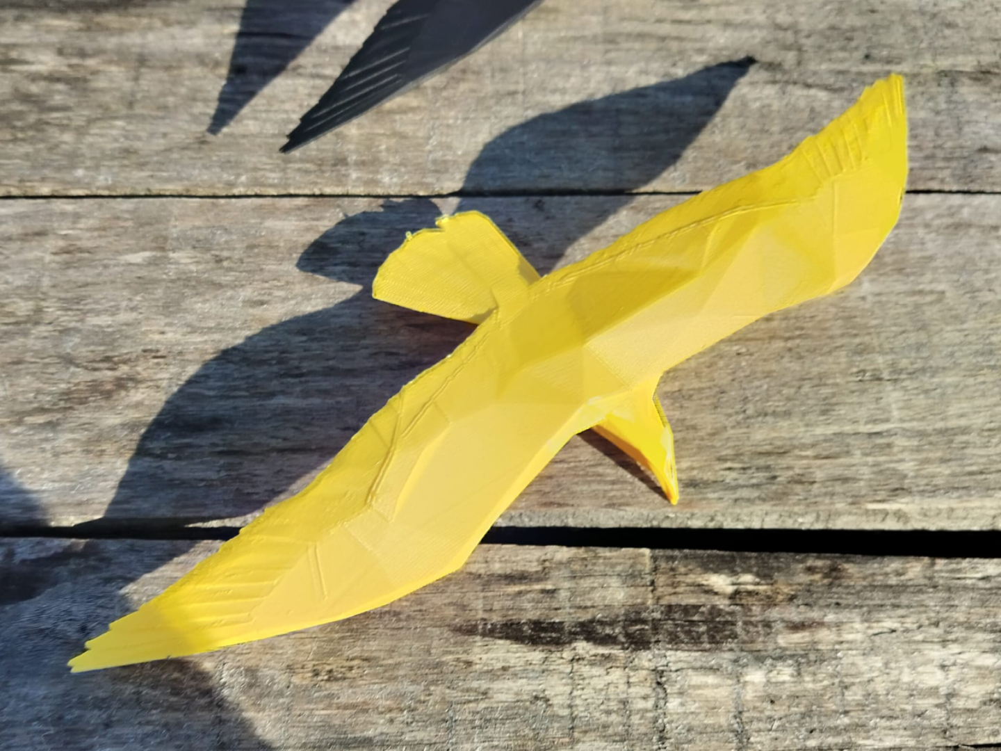 seagull poly