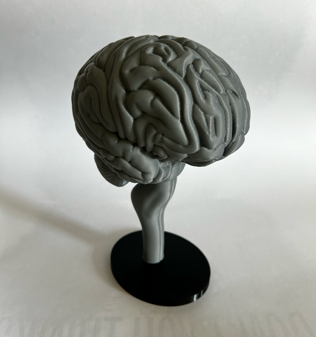 BRAIN