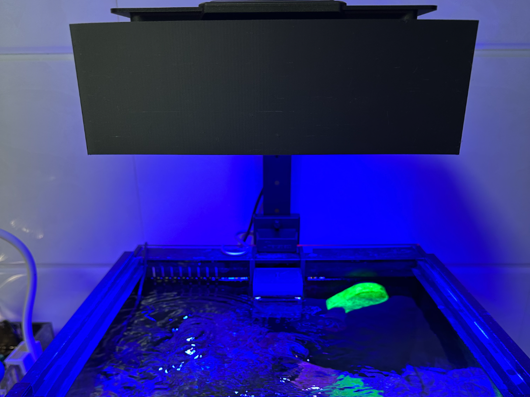 Maxspect 迈光 MJ-L290 遮光罩