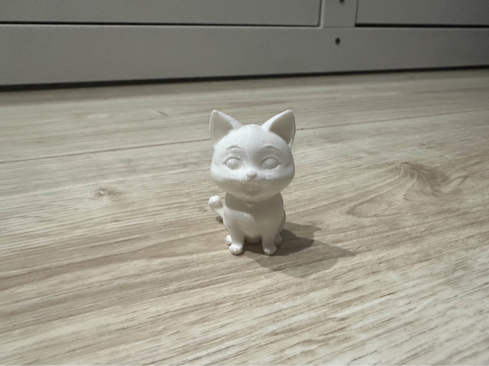 Cute Cat