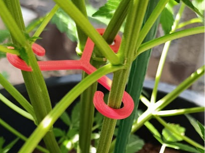 Set of plant clamps
