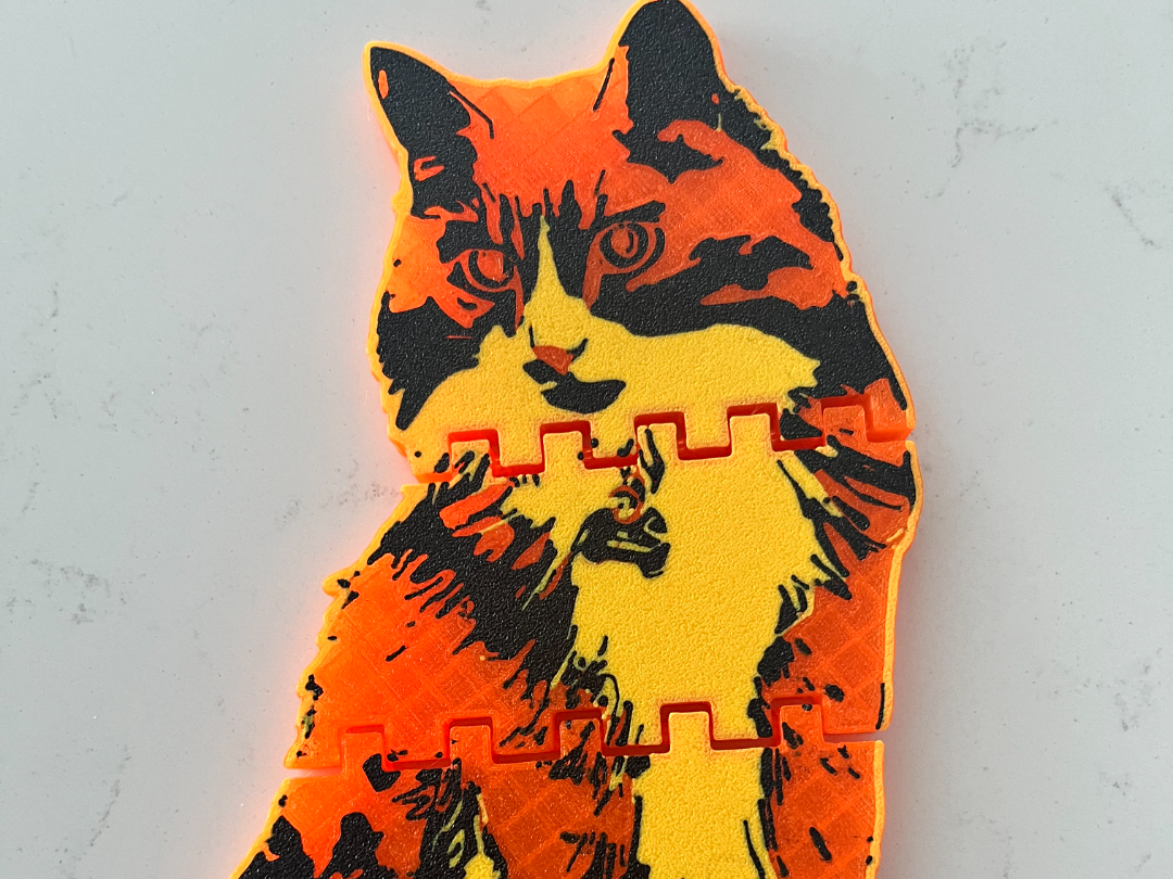Big Cat Fidget
