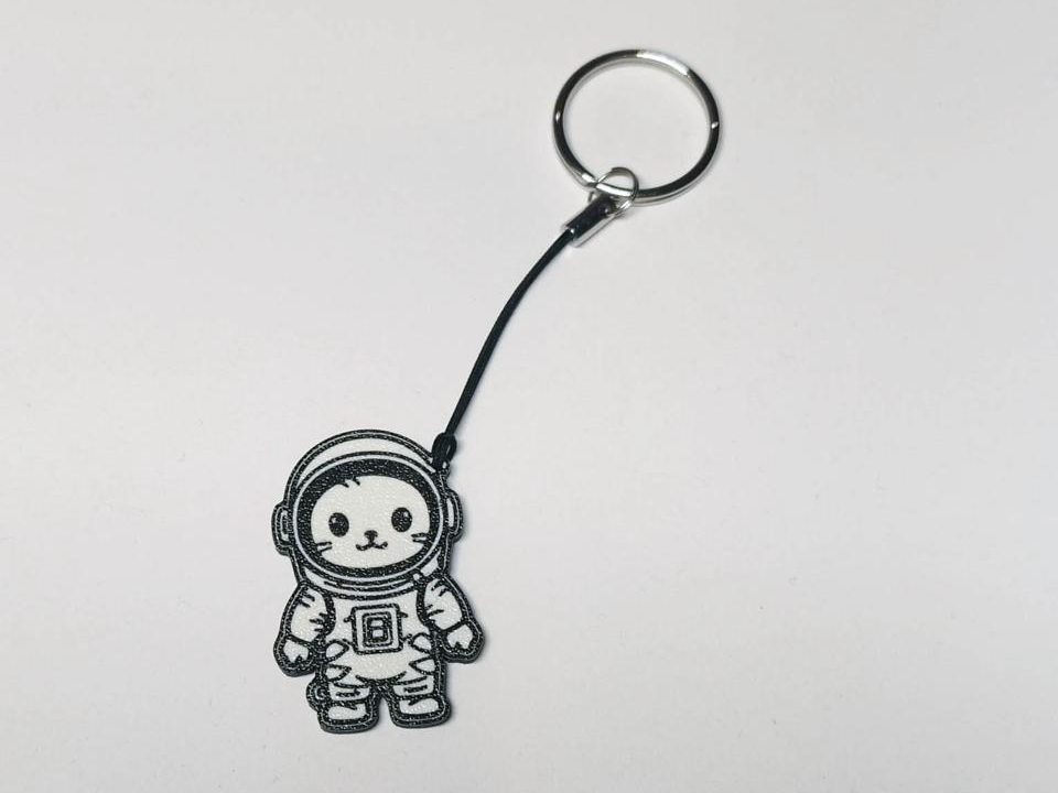 Cat Astronaut ( Kočičí Kosmonaut)