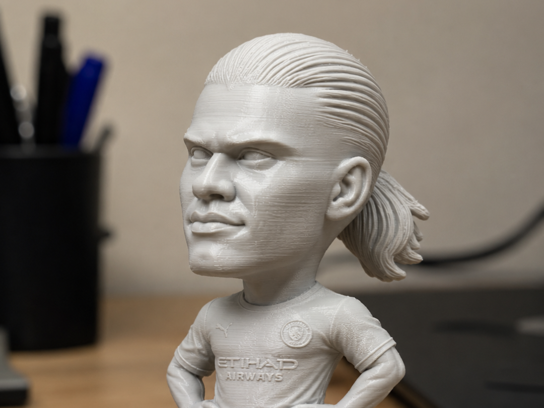 Haaland Bobble 3D