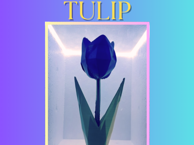 TULIP - FLOWER (Swappable Head)
