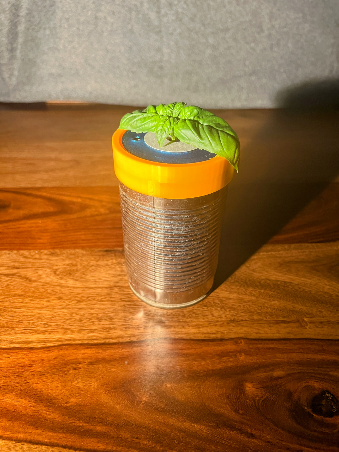 Effortless Hydroponics at Home: Versatile Adapters for Urban Gardening
