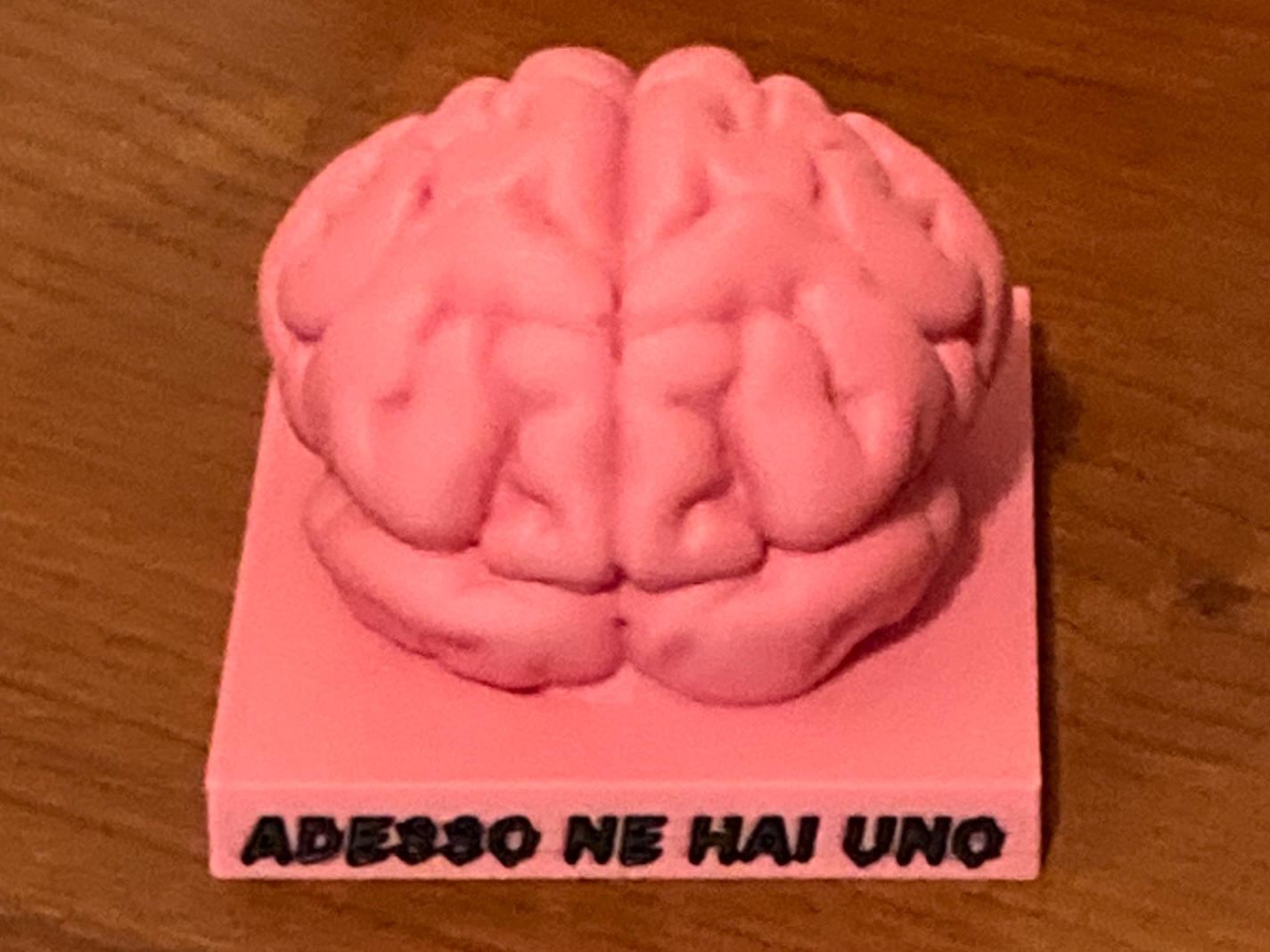 BRAIN TROPY