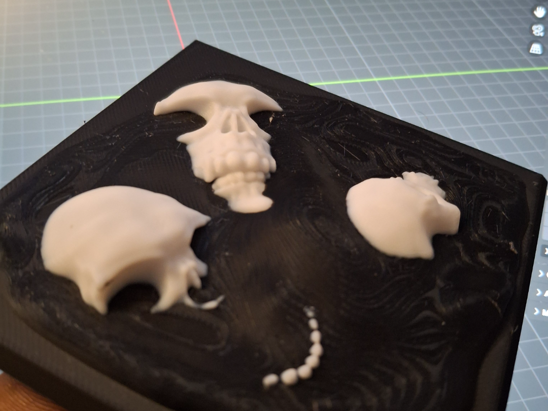 Skull Isopod Feeding Tray/Terrarium Decor