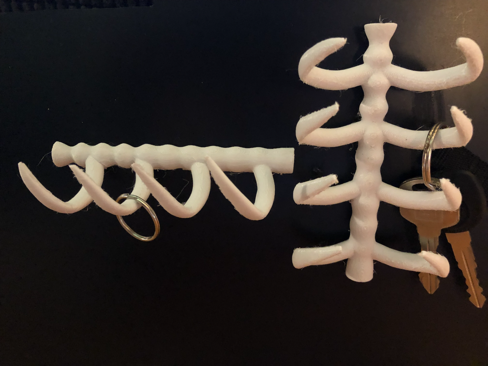 Ribcage Key Holder