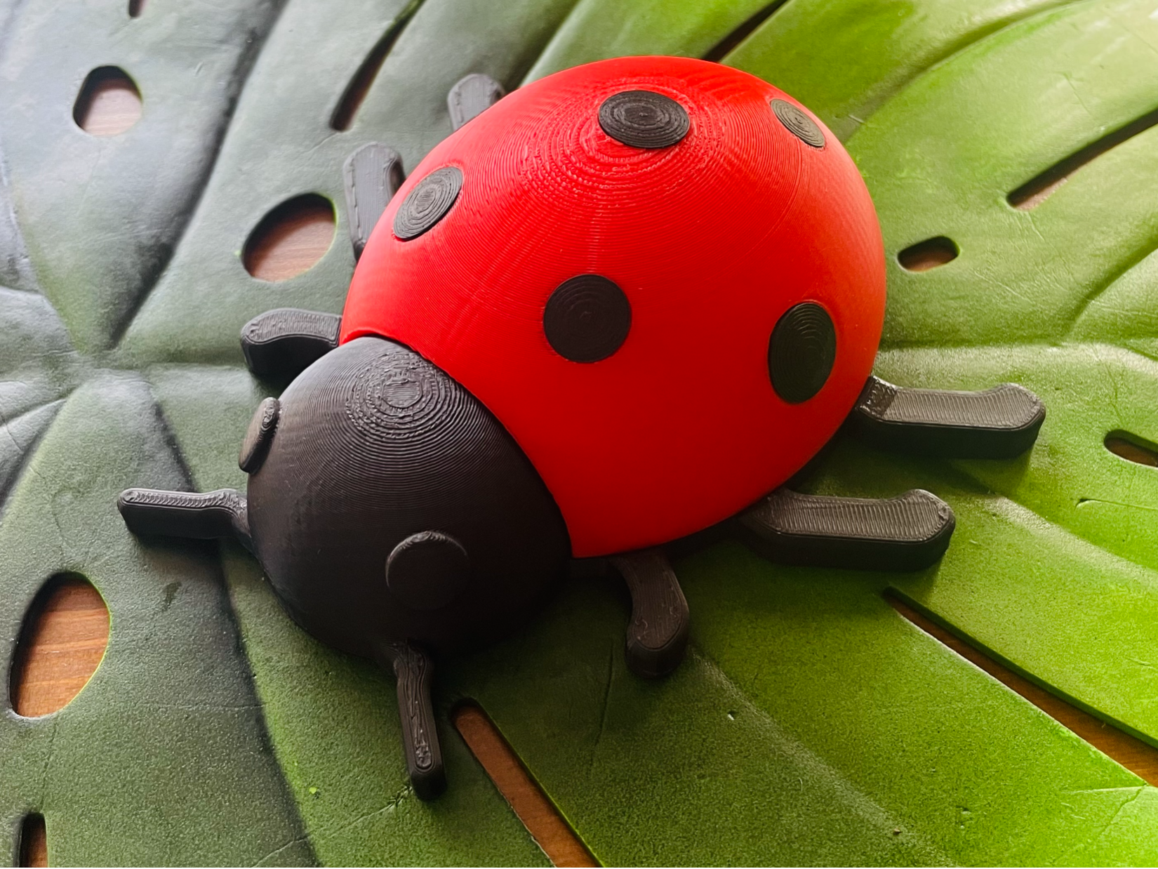 Ladybug - Beruška