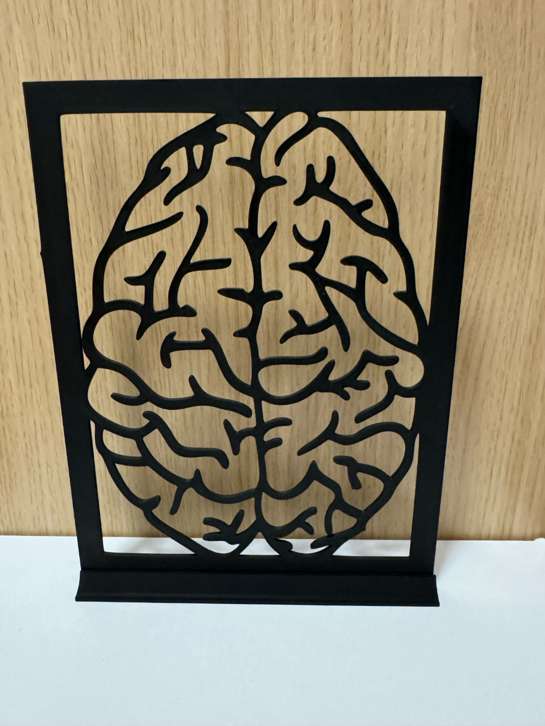 Brain