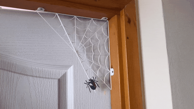 Halloween spider on the web