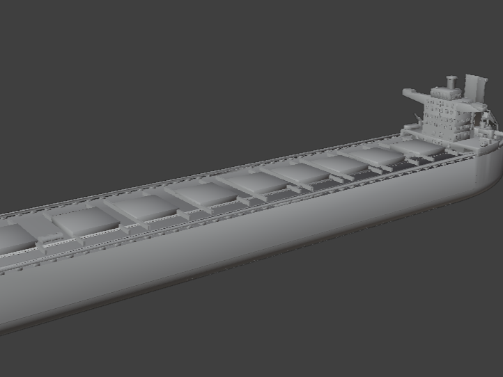 Capesize Bulk Carrier Vessel