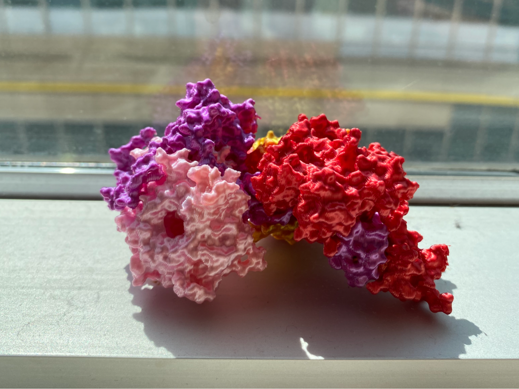 Polycomb Repressive Complex 2 (PRC2)