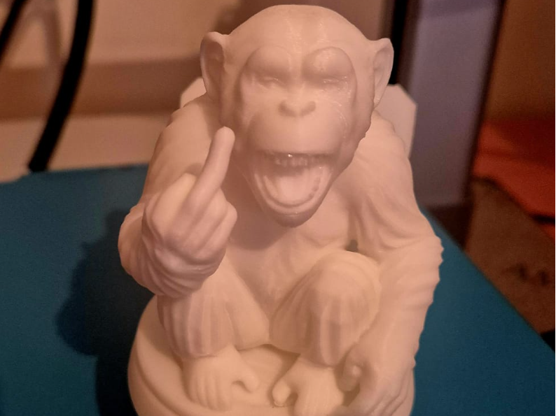 monkey on the toilet