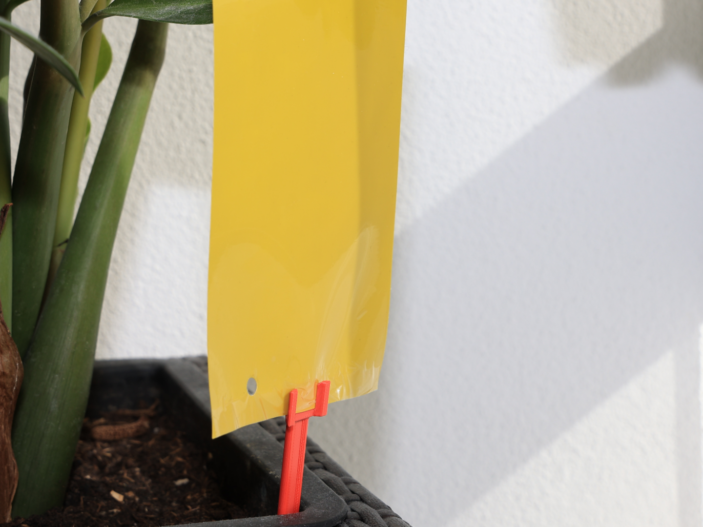 Gelbsticker Gelbtafel Halter gegen Trauermücken
