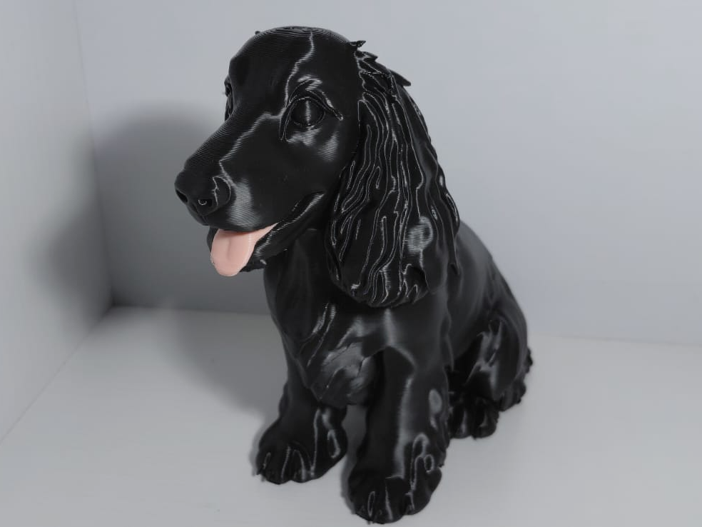 Cachorro Cocker Spaniel