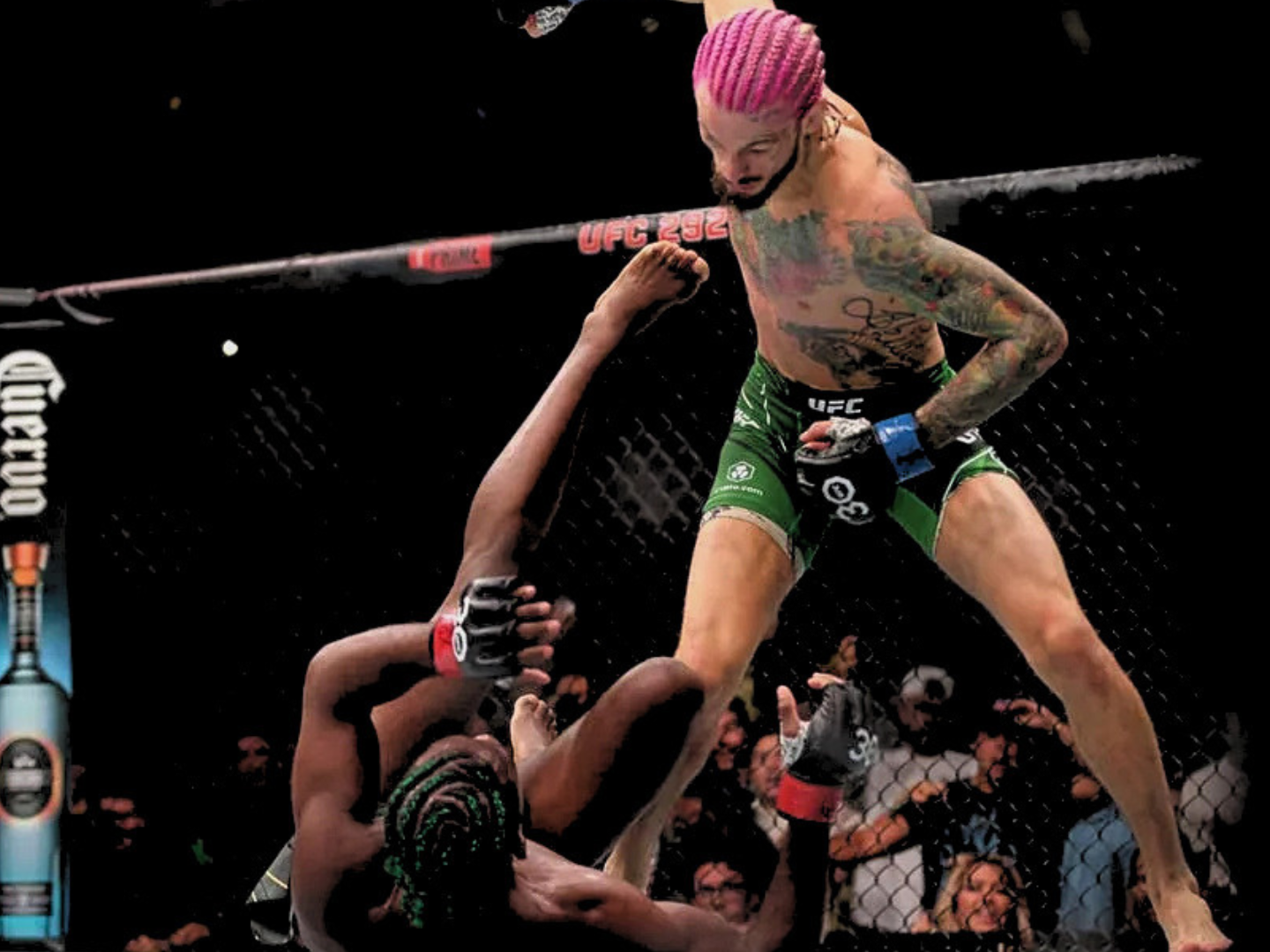 Sean O'Malley vs Aljamain Sterling