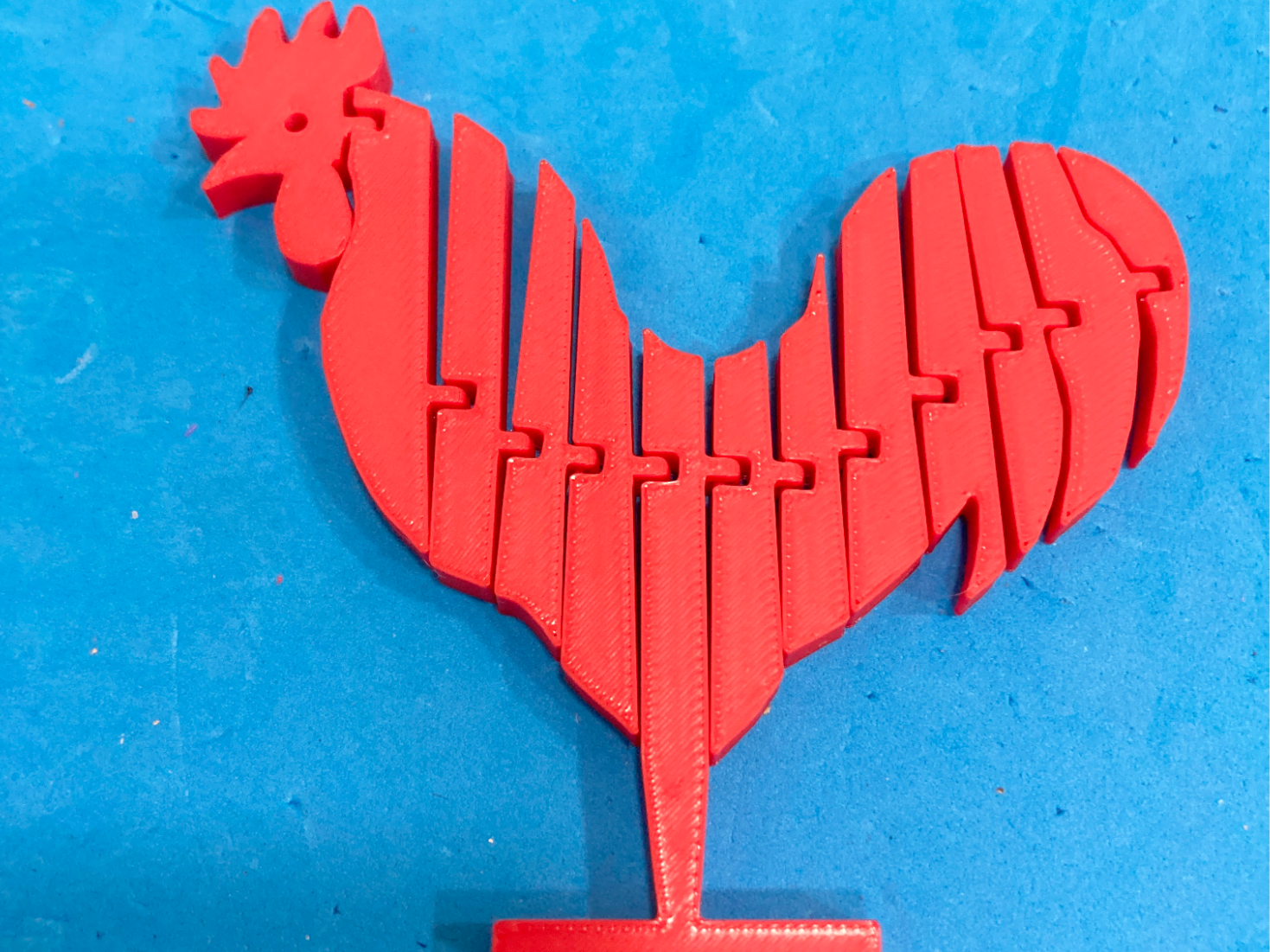Articulated Chicken / Gallo articulado