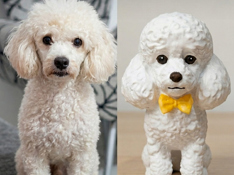 Poodle branco com gravata