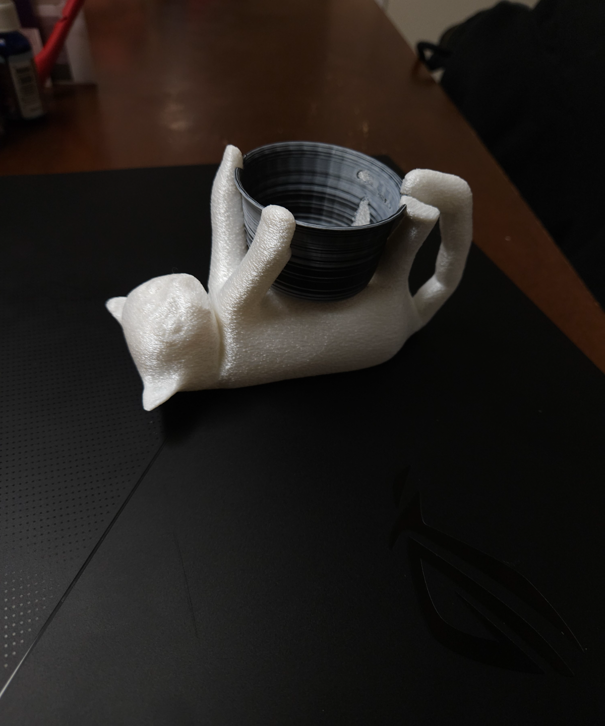 Cute Cat holding a Bowl
