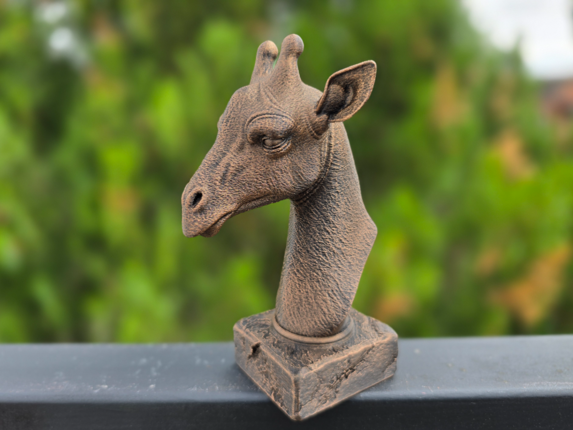GIRAFFE BUST