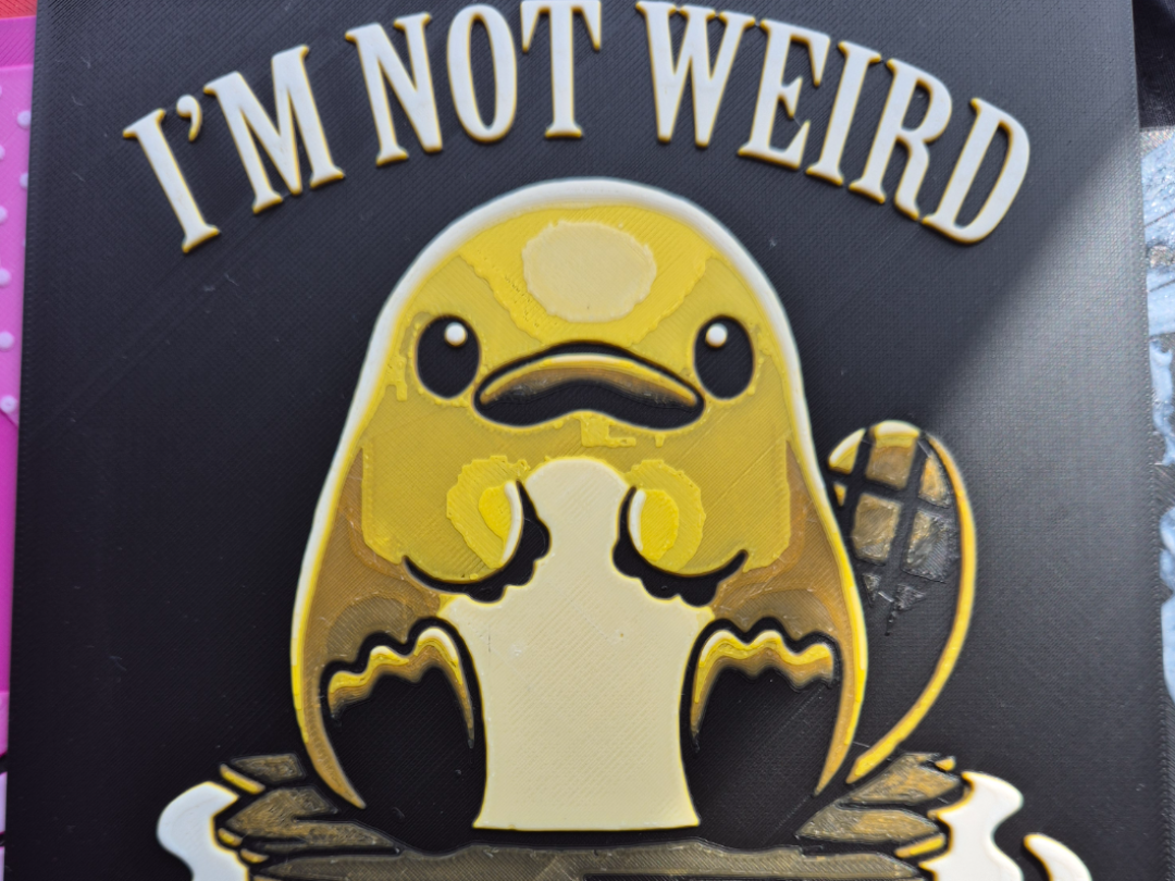 I'm not weird, I'm limited edition Wall Art
