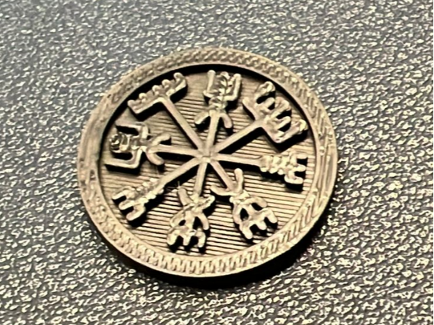 shopping coin Vegvisir