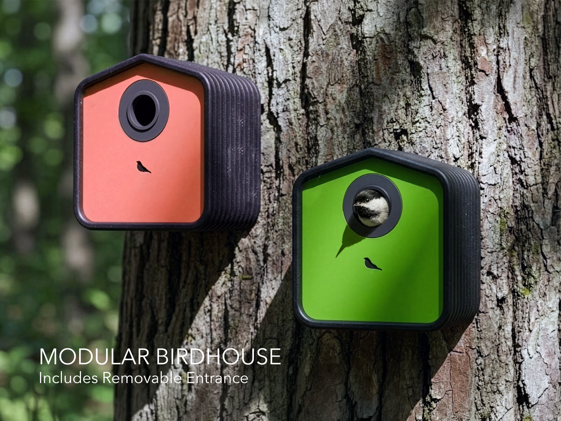 Modular Birdhouse for Small Birds