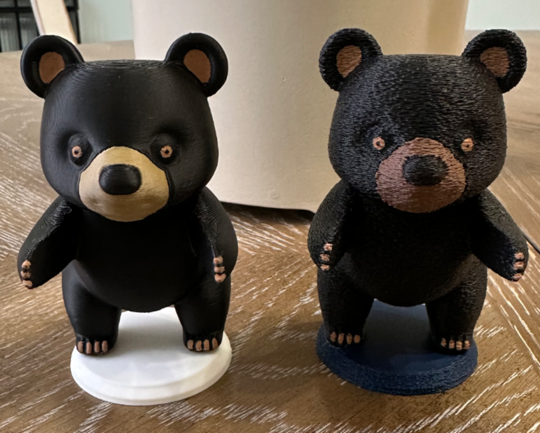 Black Bear