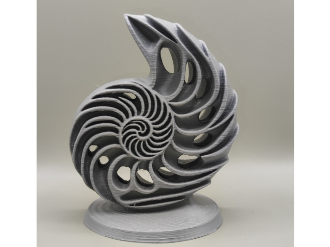 Seashell Abstract designer sculpture