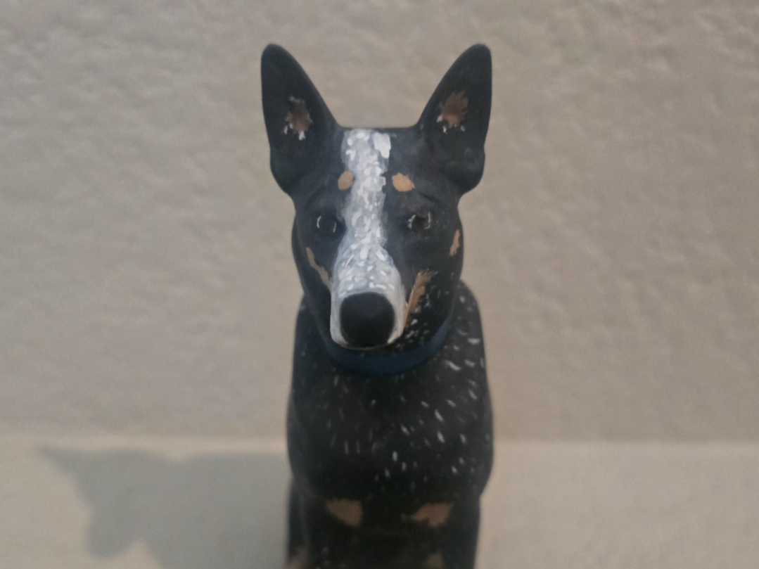 Australian Cattle Dog