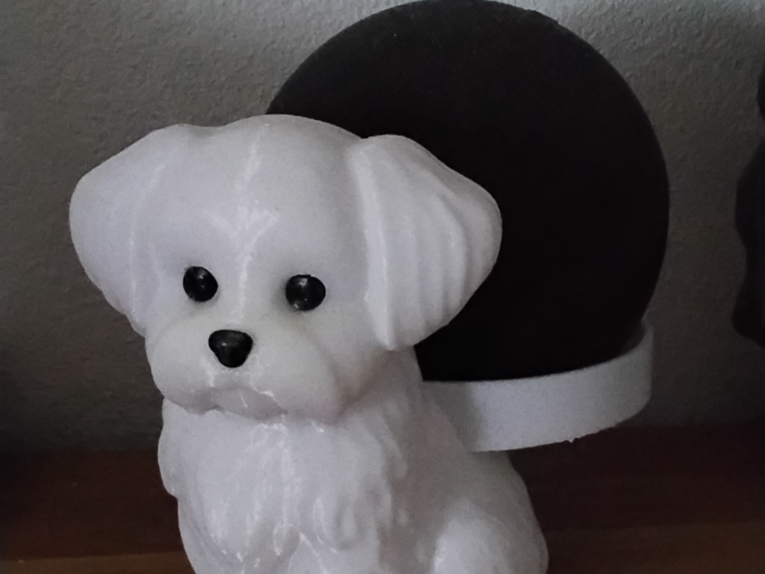Alexahund (ohne AMS)