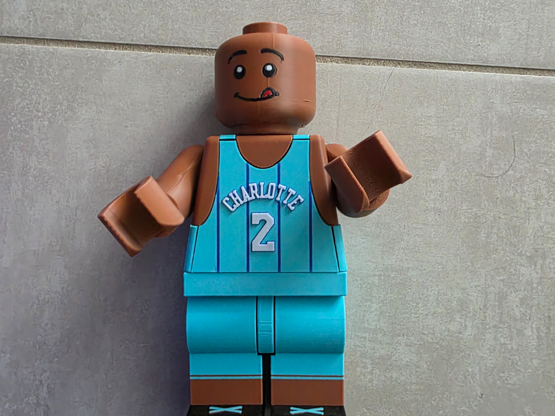 Brickman de Larry Johnson des Charlotte Hornets