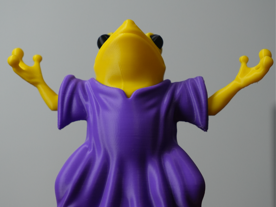 Wizard frog (fantasy)