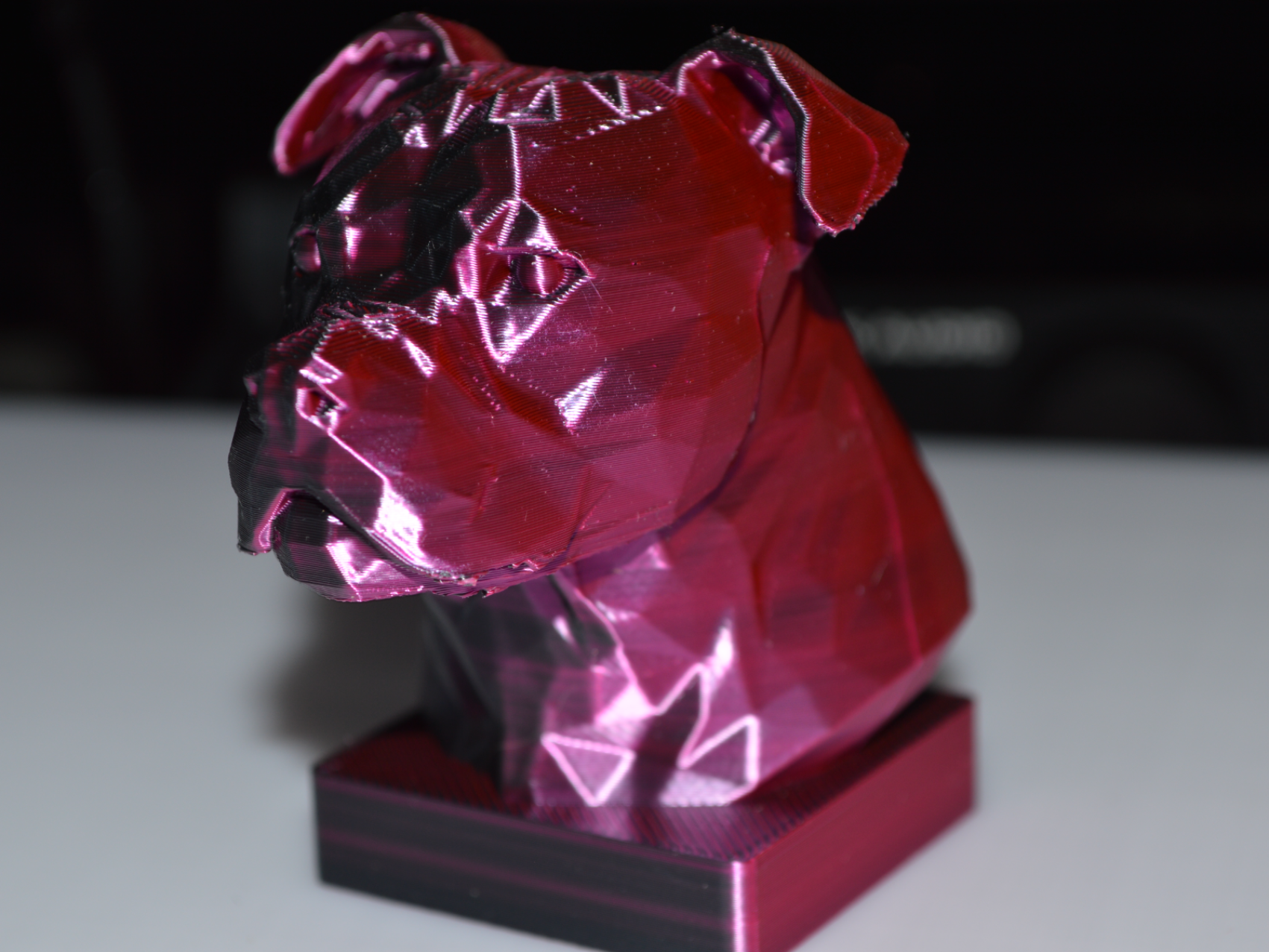 Staffordshire bull terrier low poly