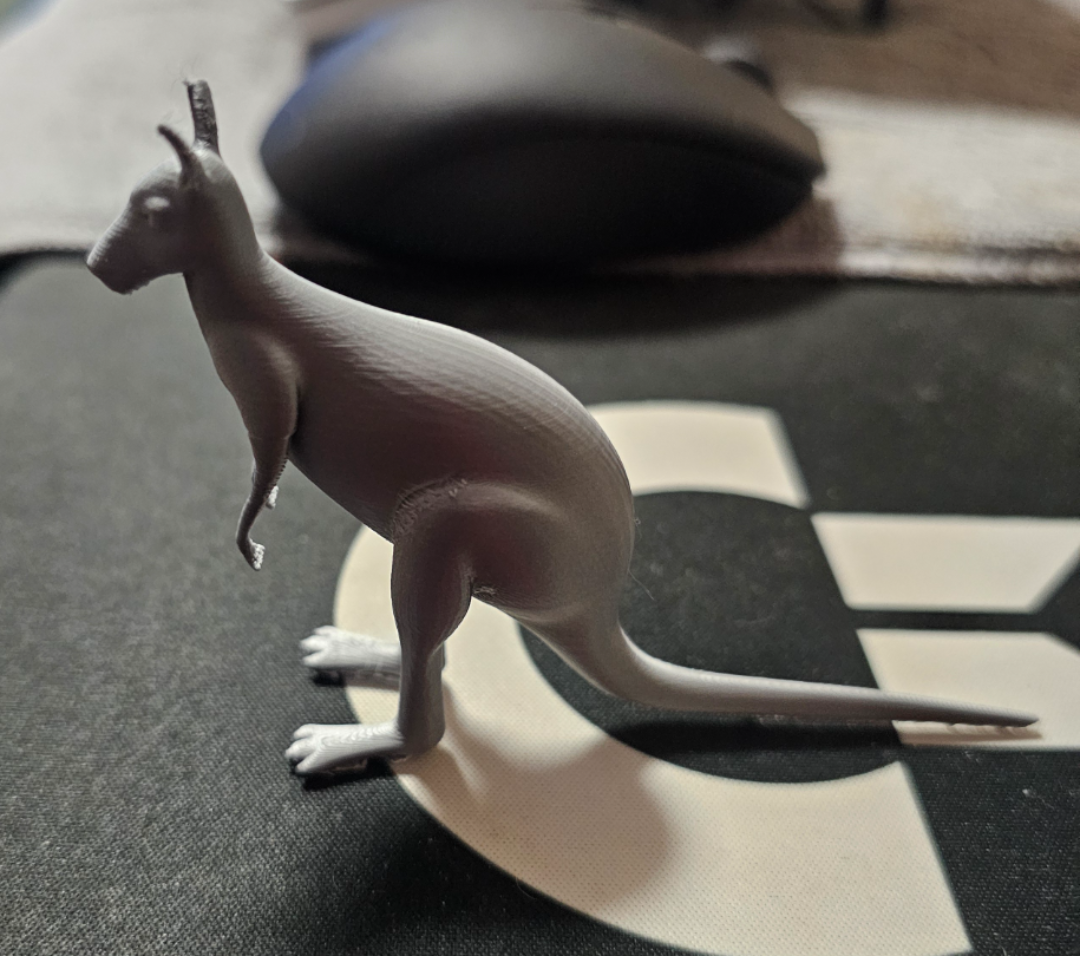Kangaroo